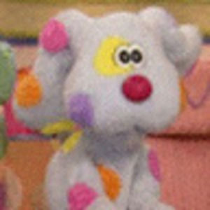 Meet your Posher, Joelle